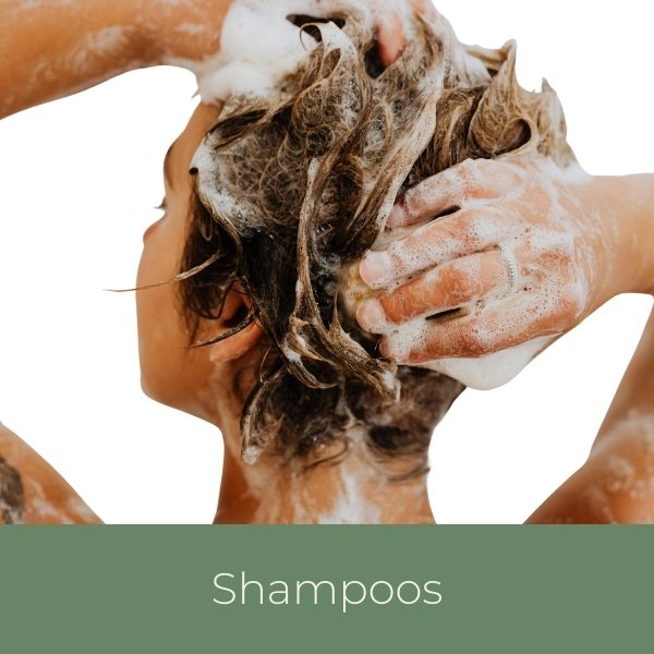 krullenshampoos categorie